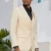 "Sharkskin Slim Fit Wedding Suit: Men's Double Breasted Vest In Tan"