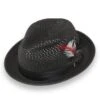 Castor Crushable Straw Hat Fedora In Black