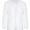 Linen Suit 2 Piece 2 Buttons Regular Fit In White